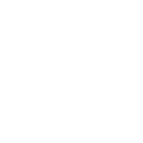 Bayer